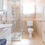 Luxurious Istra Kamen * プーラ