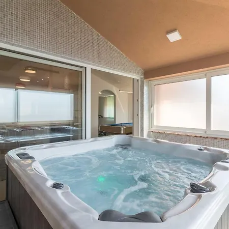 Luxurious Istra Kamen Villa